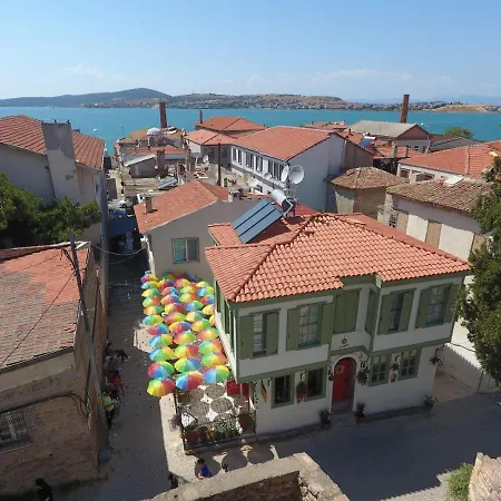 Sun Flora * Ayvalı